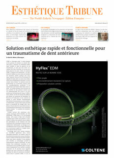 Esthétique Tribune France No.2, 2019