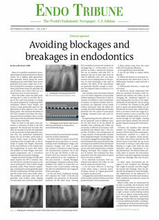 Endo Tribune U.S. No. 9, 2013